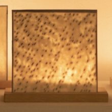 B00D88DD-4D37-4DD3-8336-992CB9F288E9